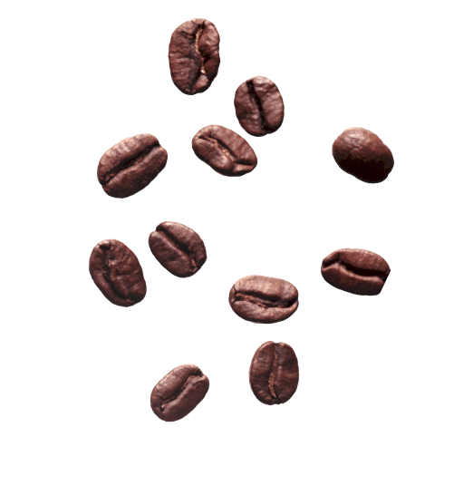 1_1